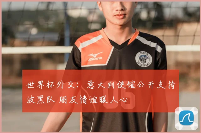 世界杯外交：意大利使馆公开支持波黑队 朋友情谊暖人心